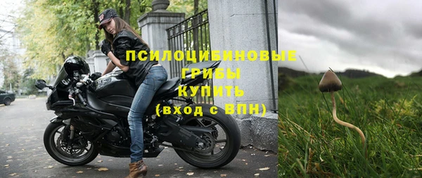 гашик Нефтегорск